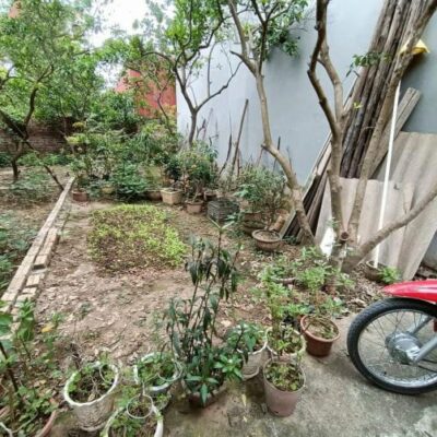 44M2 ĐẤT MẶT TIỀN BẰNG MẶT HẬU 4M 10 m ra đường 2 ô tô