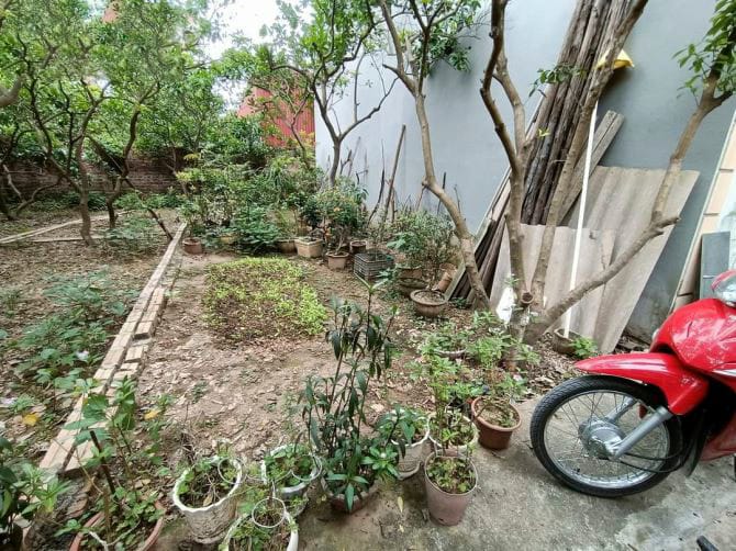 44M2 ĐẤT MẶT TIỀN BẰNG MẶT HẬU 4M 10 m ra đường 2 ô tô
