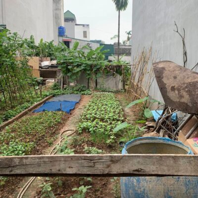 TÔI CHÍNH CHỦ CẦN BÁN GẤP MẢNH ĐẤT 50M2 TẠI VÂN CANH, Ô TÔ ĐỖ CỬA. SĐCC