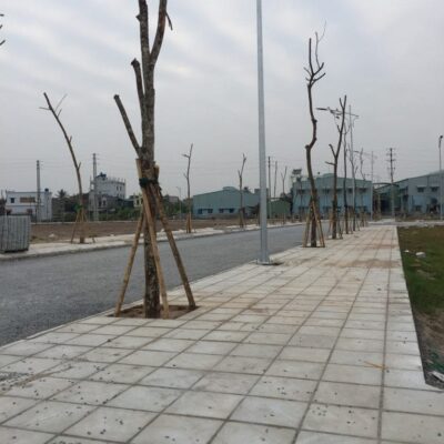 ĐẤT DỊCH VỤ VÂN CANH 1,77 HA